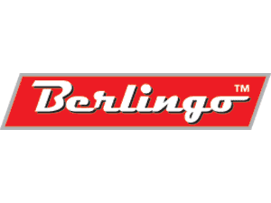 Berlingo: от марки к брэнду