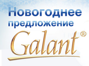 Новогоднее предложение Galant