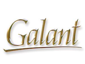 Galant 2008 — новые тенденции